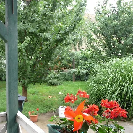 Francia Panzio Szeged
